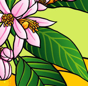 fragment of vector illustration Lemon with leaves and flowers