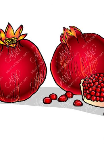 Fruit vector clipart pomegranate
