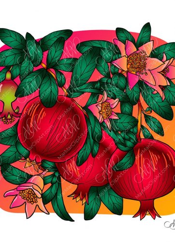 Pomegranate vector illustration