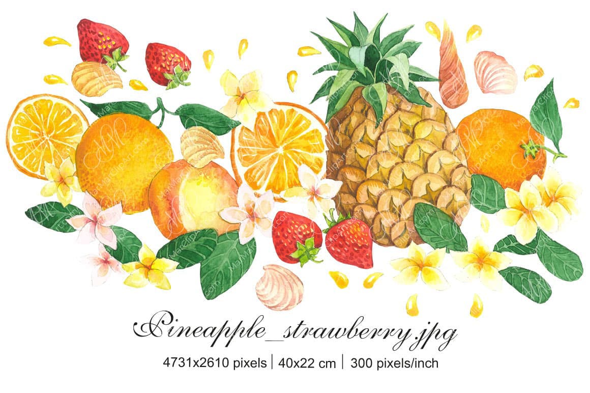 Pineapple, strawberries, oranges and peach watercolor illustration
