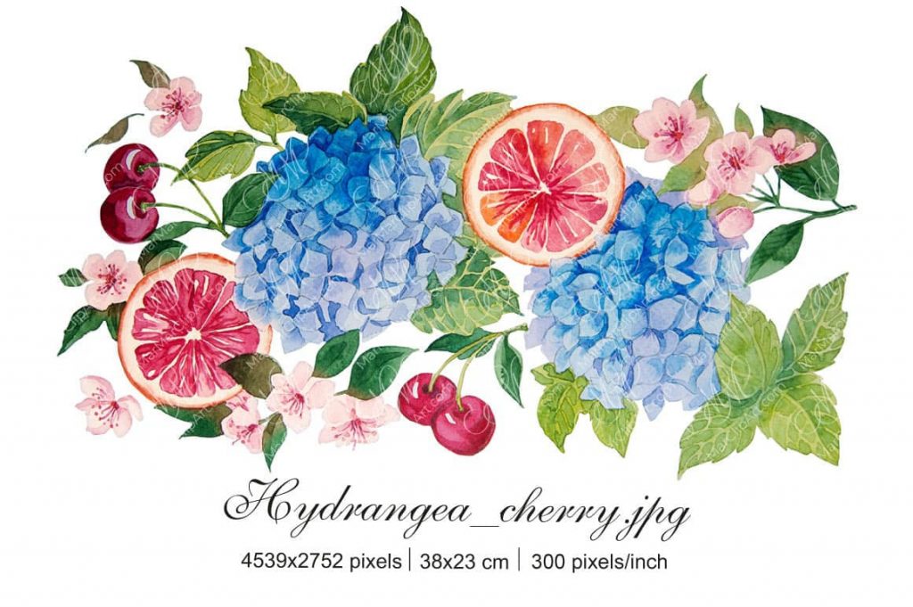 Fruits and Flowers Watercolor Set – Tropical Fruit Botanical Clipart, Citrus, Pineapple, Cherry, botanical watercolor, watercolor printable art, botanical wall art