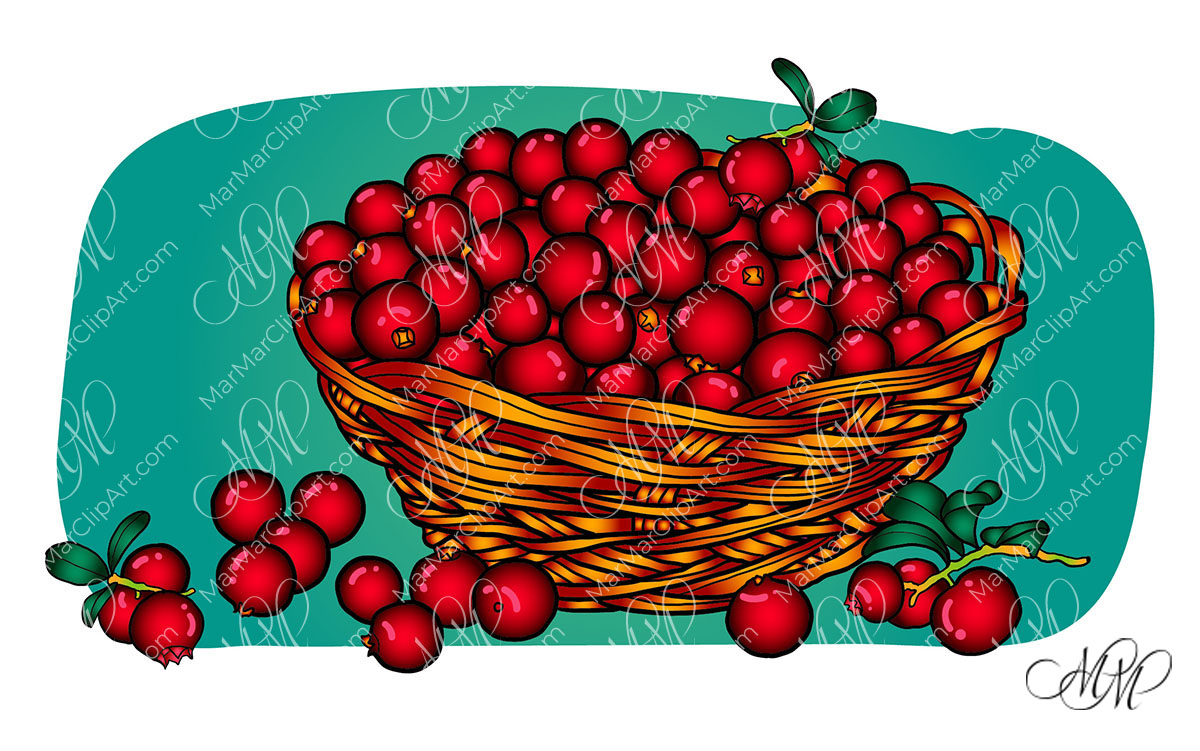 Vector illustration Cranberries in a basket