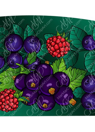 Raspberry, blackberry and black currant vector food illustration