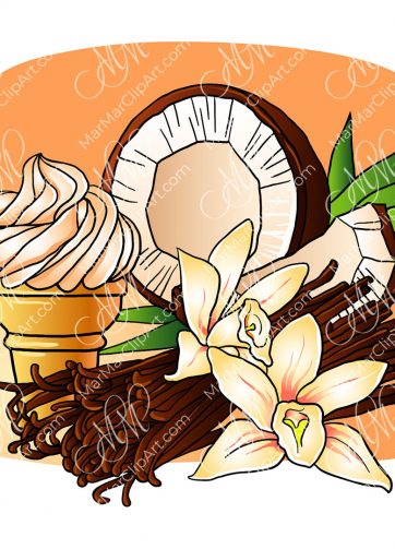 Coconut, ice cream and vanilla vector illustration