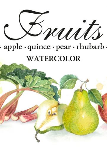 Fruits set of 4 watercolor illustrations