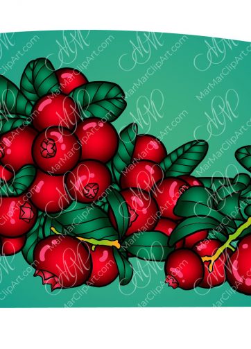 Cranberry vector illustration