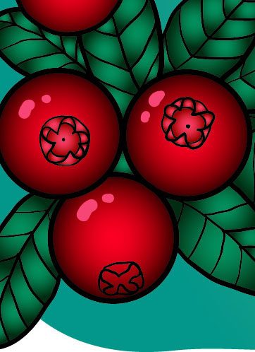 Fragment of Vector illustration Cranberry background