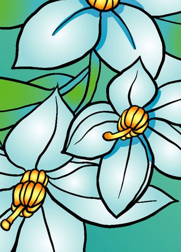 Fragment of Vector illustration Jasmine background