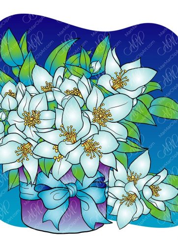 Bouquet of Jasmin vector illustration