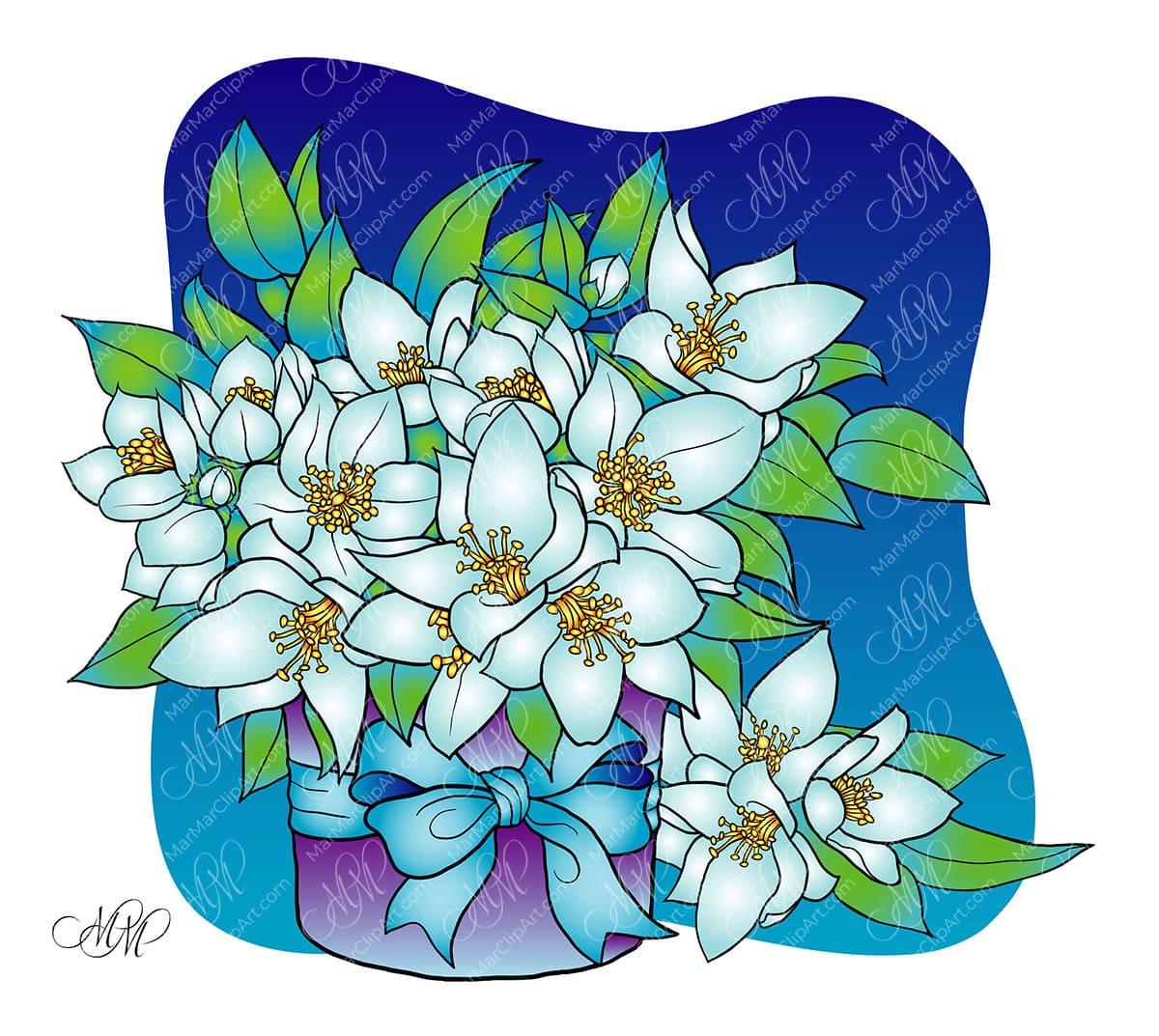 Bouquet of Jasmin vector illustration