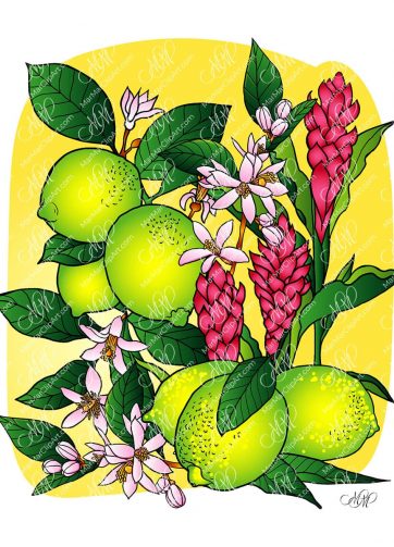 Lime with ginger and flowers vector illustration