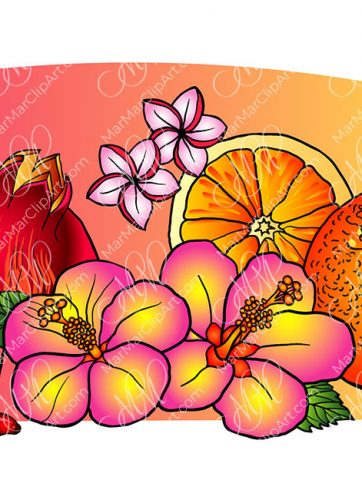 Hibiscus, orange and pomegranate vector illustration