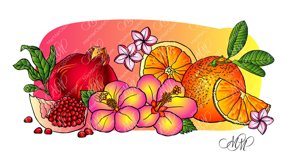 Hibiscus, orange and pomegranate vector illustration