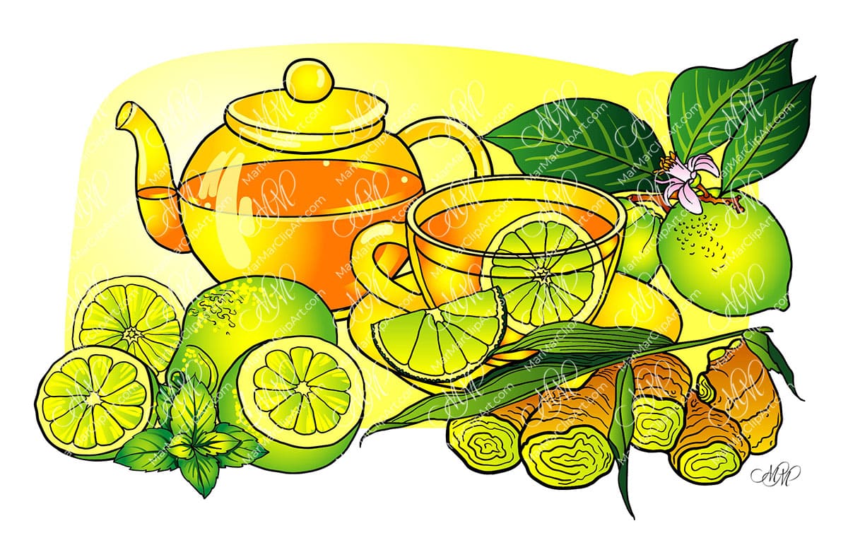 Ginger tea with lime vector food illustration
