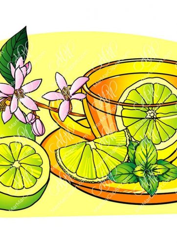 Tea with lime and flowers of lime vector illustration
