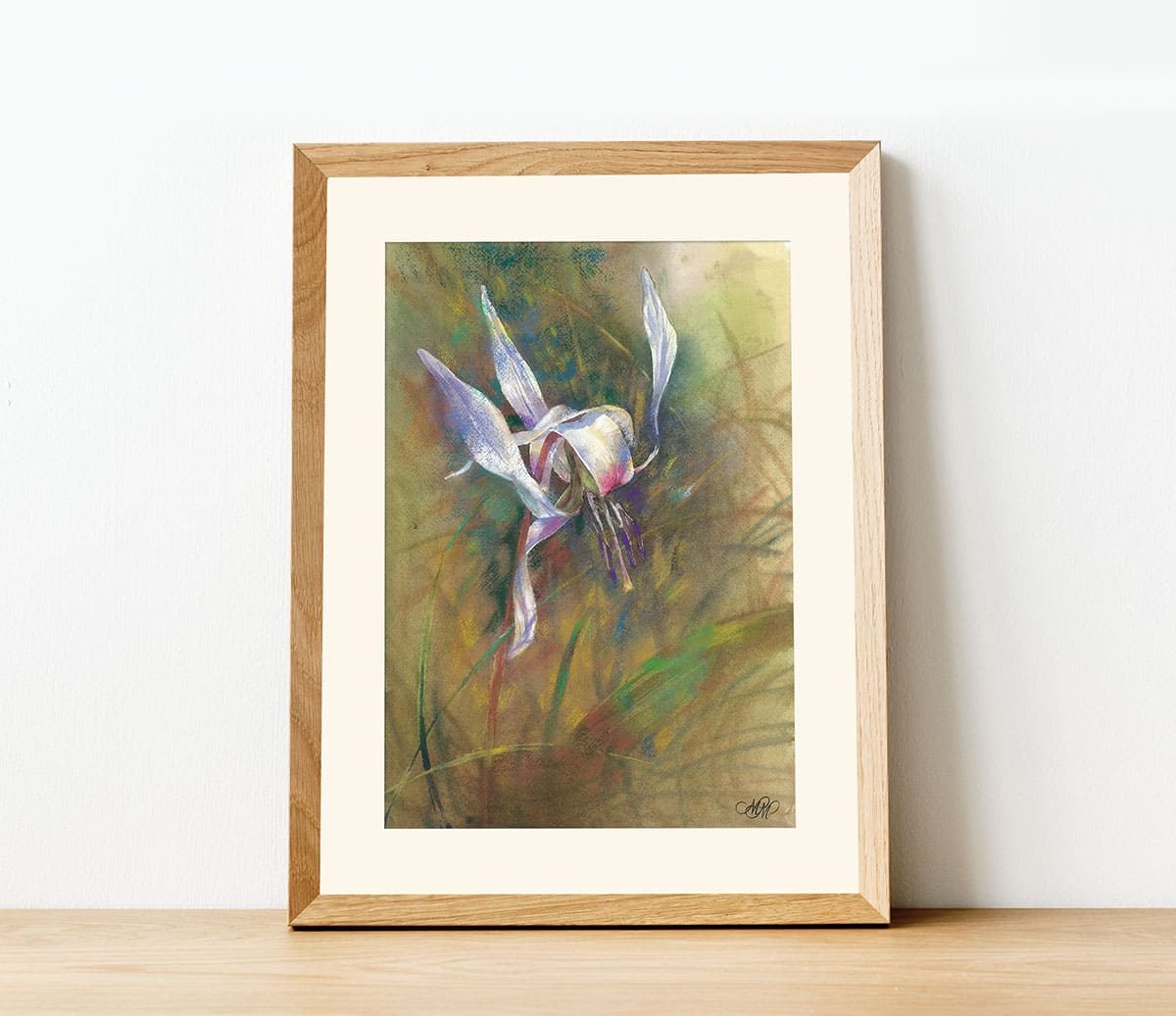 Erythronium dens-canis watercolor paintind in interior