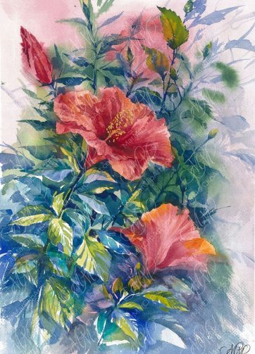 Print Hibiscus flowers watercolor