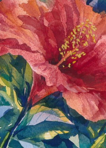 Print Hibiscus flowers fragment of watercolor
