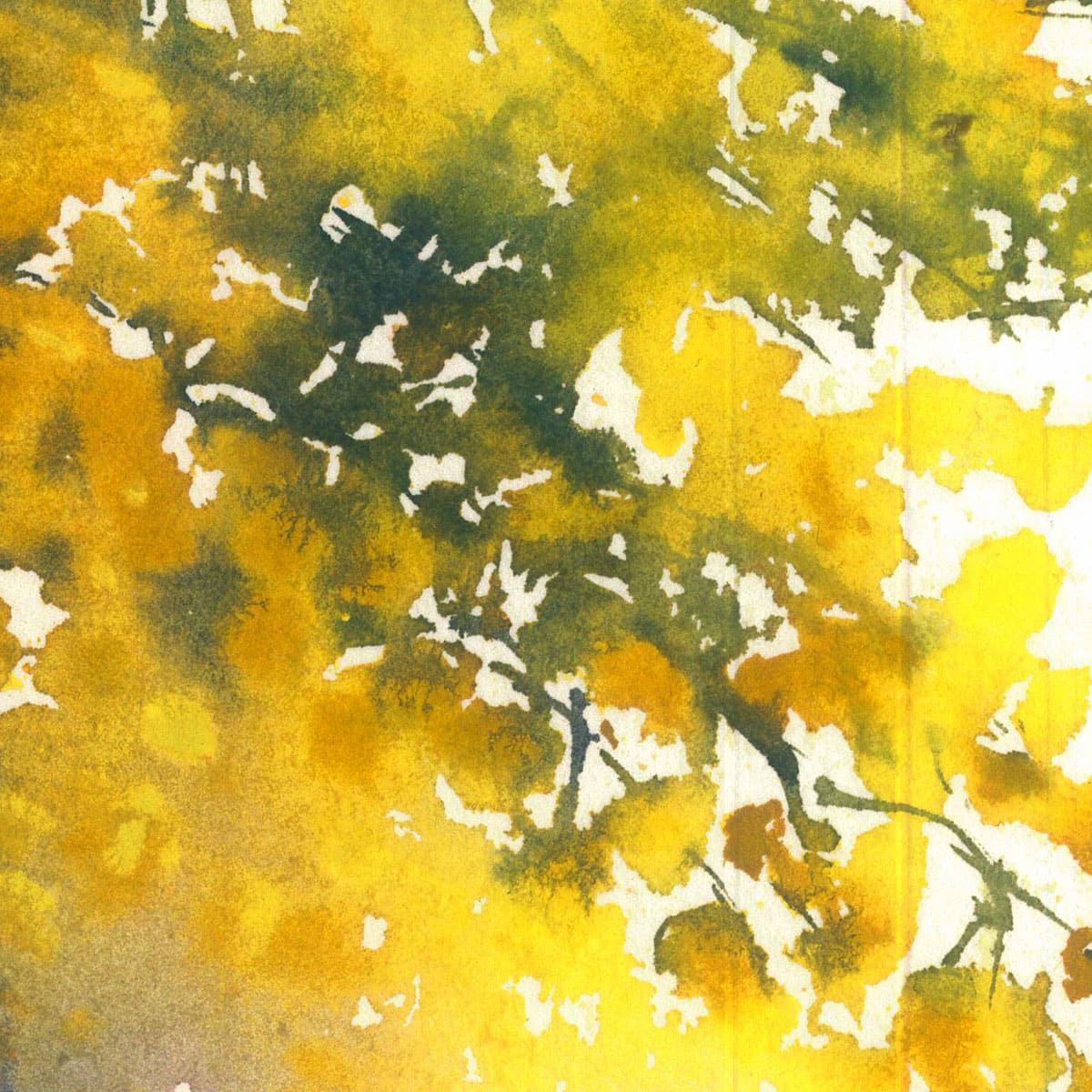 Mimosa floral watercolor painting fragment