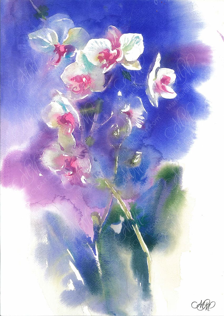 Orchids on a blue Floral watercolor painting