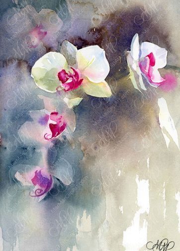 Orchid watercolor study