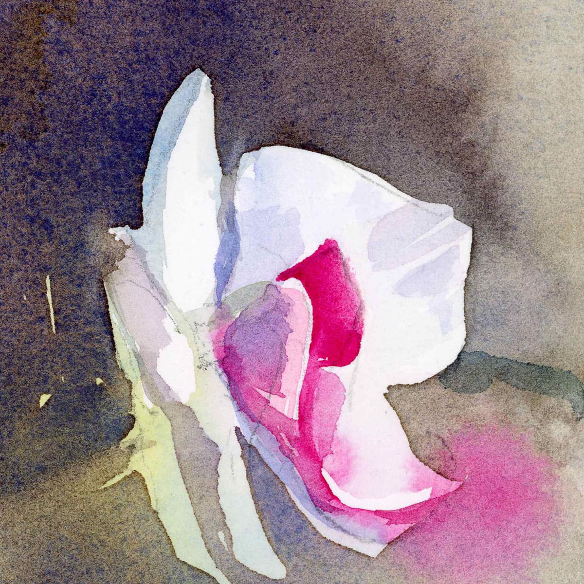 Orchid watercolor study fragment