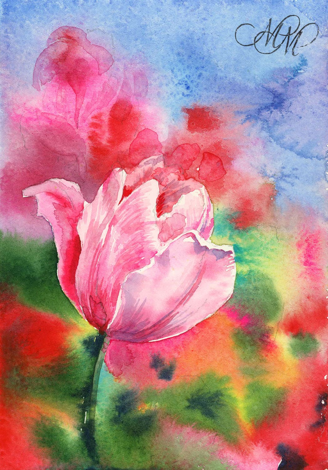 Print "Pink tulip". Watercolor sketch of beautiful pink tulips