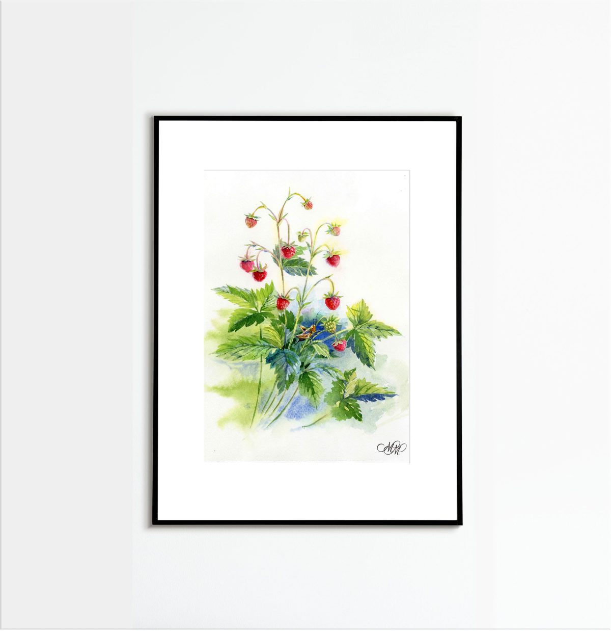 Wild strawberry and grasshopper. Framed of Watercolor in botanical style