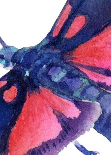 Butterfly Zygaena lonicerae. Fragment of watercolor illustration