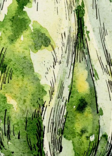 Green pumpkin, fragment of watercolor and black ink illustration