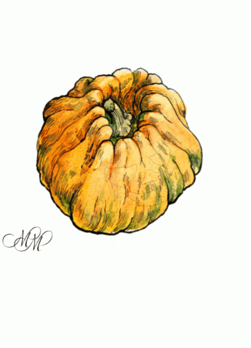Halloween pumpkin. Animated gif file