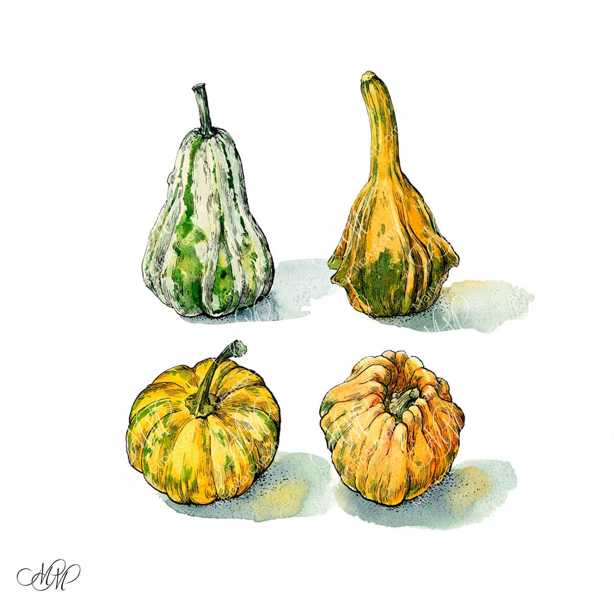 Pumpkins: set of 4 images and animated gif