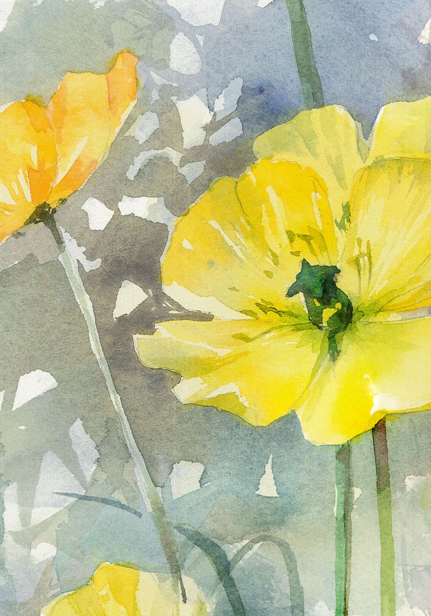 Yellow poppies. Fragment of watercolor painting