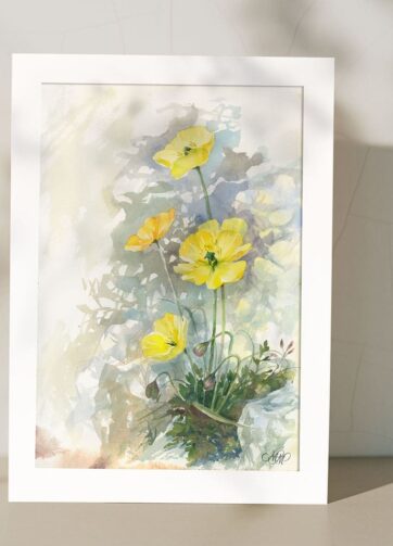 Yellow poppies. Framed watercolor painting
