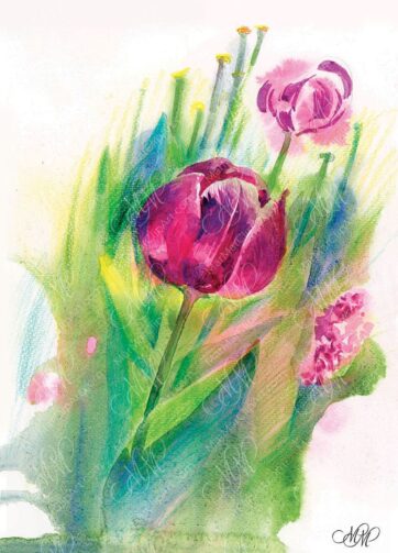 Burgundy Tulips. Velvet Bloom. High-Resolution Watercolor Art