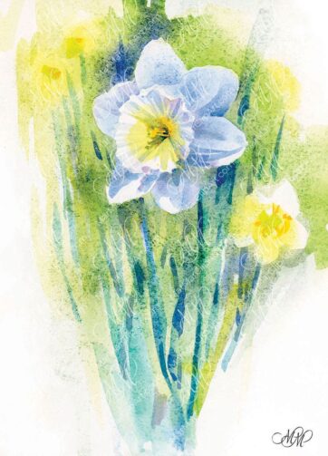 Narcissus. Watercolor Art Print by Marina Markizova