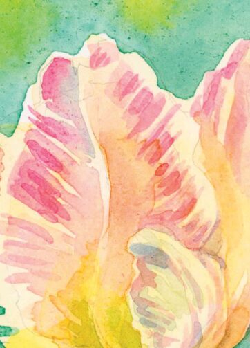 Parrot Tulip. Fragment of watercolor file